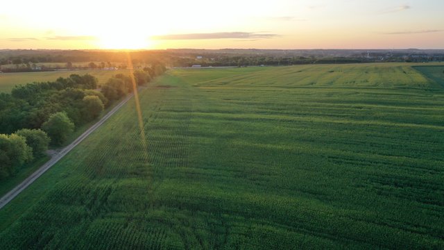 Sunrise over Rural Field (Drone)