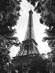 Eiffel Tower Black and White