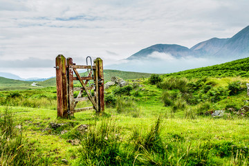 Lonely gate in the field of scotland  surrounded with mountains