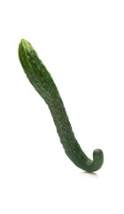 long cucumber isolated on a white background