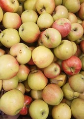fruit background Raw apples,  top view close-up. Organic Fresh Delicious apples Fruit. Apple pulp is used in baking, jelly, puddings, mousses, marmalades and jams. healthy lifestyle. Top yiew