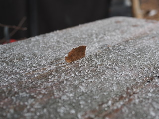 Close up of hail-head, stud in wooden board with wood grain texture