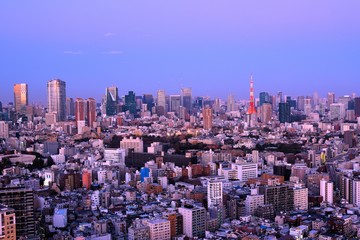 Fototapeta premium 東京の風景