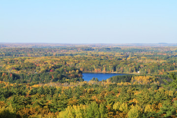 Tilt Shift Fall Landscape 