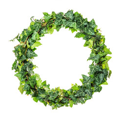 Wreath of ivy