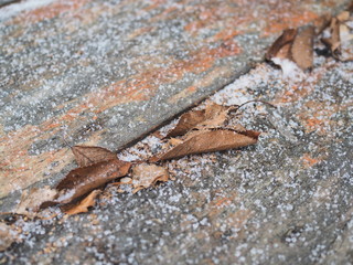Close up of hail-head, stud in wooden board with wood grain texture