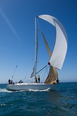 Obraz premium Yacht Competes In Team Sailing Event