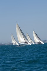 Fototapeta premium Yachts Compete In Team Sailing Event