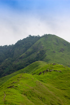 Kurangani HIlls. Tamil Nadu, India
