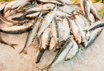 Close-up of fresh fish in ice at market