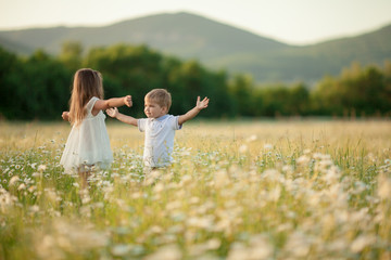 Children a boy and a girl hug and kiss each other amicably in a flowering field against the...