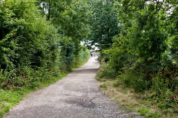 Fototapeta na wymiar Country Lane in British Countryside