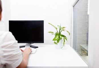Rear view of young businesswoman using computer at desk