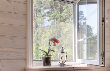 White window with mosquito net in a rustic wooden house overlooking the garden. Phalaenopsis orchid...