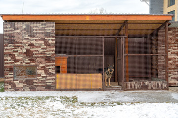Stylish and large aviary for a German shepherd in the yard. German shepherd in a large aviary. Interior