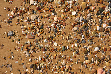 Sand, rocks and foam on the resort beach close-up