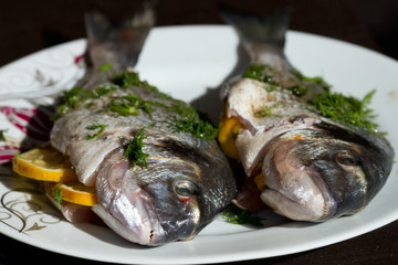 Close-up of two fresh fishes dorado on white plate under bright light