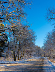 Winter path in swedish woods. Snowy day in scandinavian forest. Bright winter day. Nature wallpaper. Photo with trees and road.