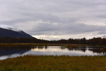 Reflection of the forest and the mountain 