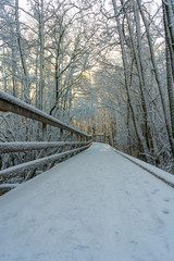 Winter wooden path (bridge) in swedish woods. Snowy day in scandinavian forest. Bright winter day. Nature wallpaper. Photo with trees and road.