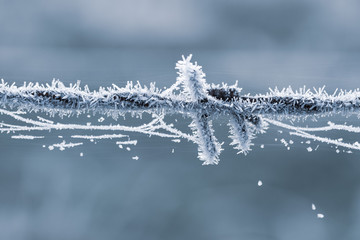 Stacheldraht im raureif