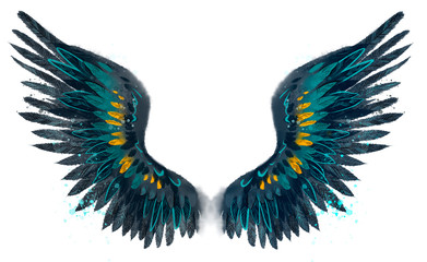 Beautiful black turquose watercolor wings