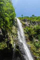 Obraz premium waterfall in deep forest
