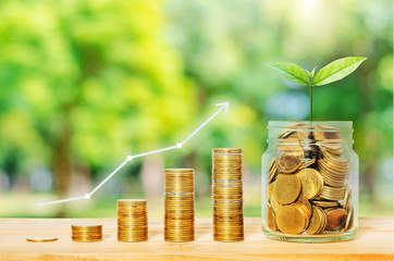graph growth up on coin stack on wood table with plant growing against blur nature background....