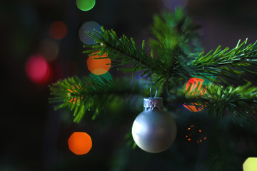 Christmas toy hanging on a fir branch