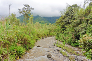 Fototapeta na wymiar Fluss im Nebelwald - Südamerika
