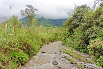 Fluss im Nebelwald - Südamerika