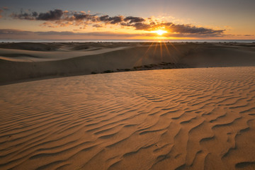 Maspalomas dunes in sunrise light. Gran Canaria sandy coast.