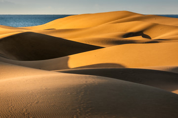 Fototapeta na wymiar Maspalomas dunes in sunrise light. Gran Canaria sandy coast.