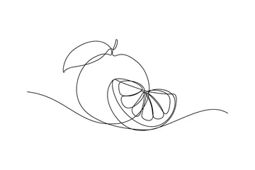 Fotobehang Orange fruit whole and a slice in continuous line art drawing style. Black line sketch on white background. Vector illustration © GarkushaArt