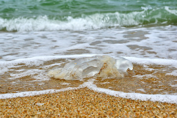 Jellyfish on the sand
