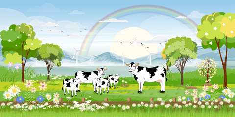 Rural farm landscape with green fields and barn animals cow and windmills farm on lakes with blue sky and clouds, Vector cartoon Spring or Summer landscape,Eco village or Organic farming in uk