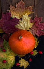 autumn pumpkin background with colored leaves on wooden Board