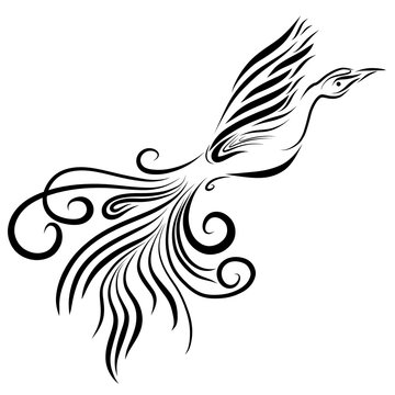 flying bird with curl tail, black pattern