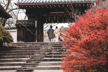 着物で紅葉狩りを楽しむカップル