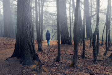 A lonely woman walks between trees in a foggy forest in late autumn