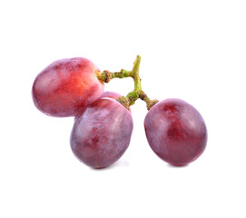 grape isolated on white background
