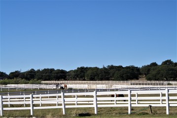 fence and blue sky