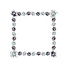 Cat paws isolated frame