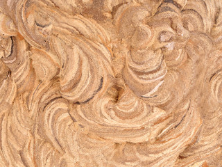 Wood pulp texture