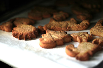 A girl takes out Gingerbread from the oven. Baking in the form of forest animals. Dessert on baking paper. Homemade cookies in the opened oven. Soft focus