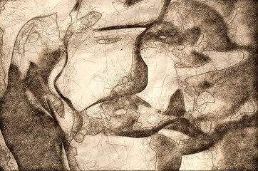 Nature Abstract Sketch: Lost in the Gentle Folds of the Delicate Rose