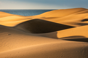 Maspalomas dunes in Gran Canaria in sunrise light.