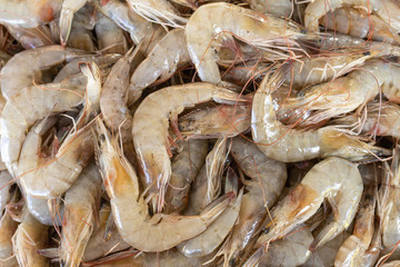 Raw shrimp for human consumption. Food of animal origin.