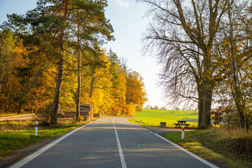 Fototapeta premium Empty road through autumn forest in north Bohemia, Czech republic