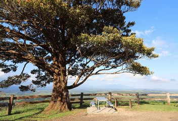 Bench under a big tree at a rest stop with a great view. Picnic place and lookout at a countryside.